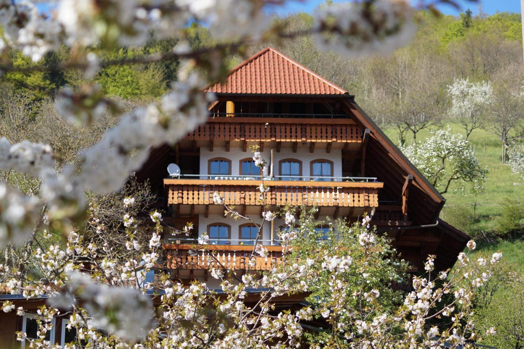 Kurparkhotel Faisst Бад Петерстал-Грисбах Екстериор снимка